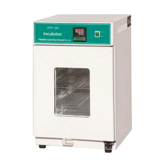 Heating Bacteria Laboratory Incubator Oven Price with 18L 30L Workingroom