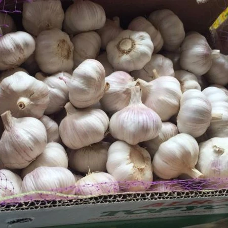 
2018 new harvest garlic 