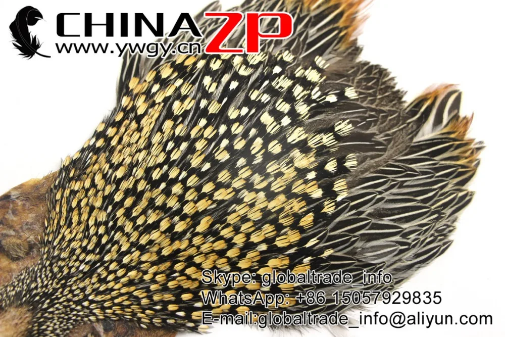 
ZPDECOR Wholesale in Stock Top Grade Natural Gold Jungle Cock Cape Complete Pelt with Feathers 