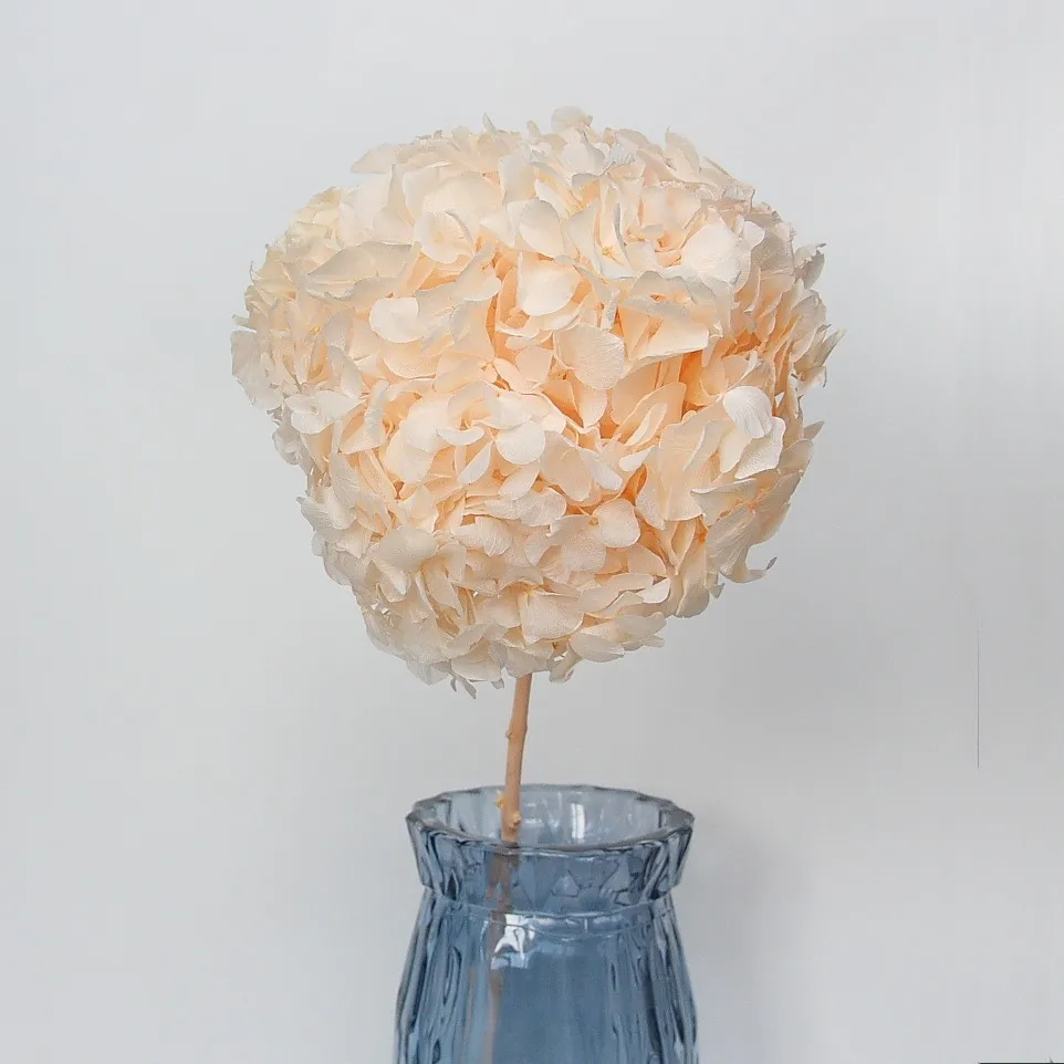 China factory supply Wholesale white and pink Hydrangea Flowers Real Touch Hydrangea hydrangea flower