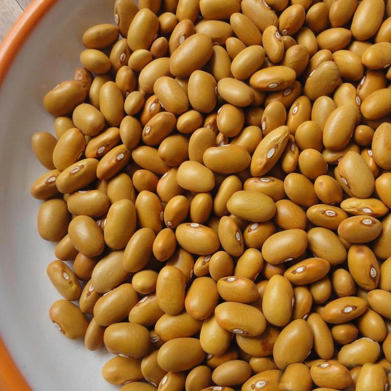Dried yellow kidney beans