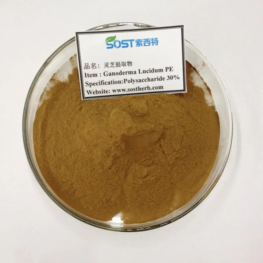 
High Quality EU Organic Powdered Reishi Mushroom Capsule 