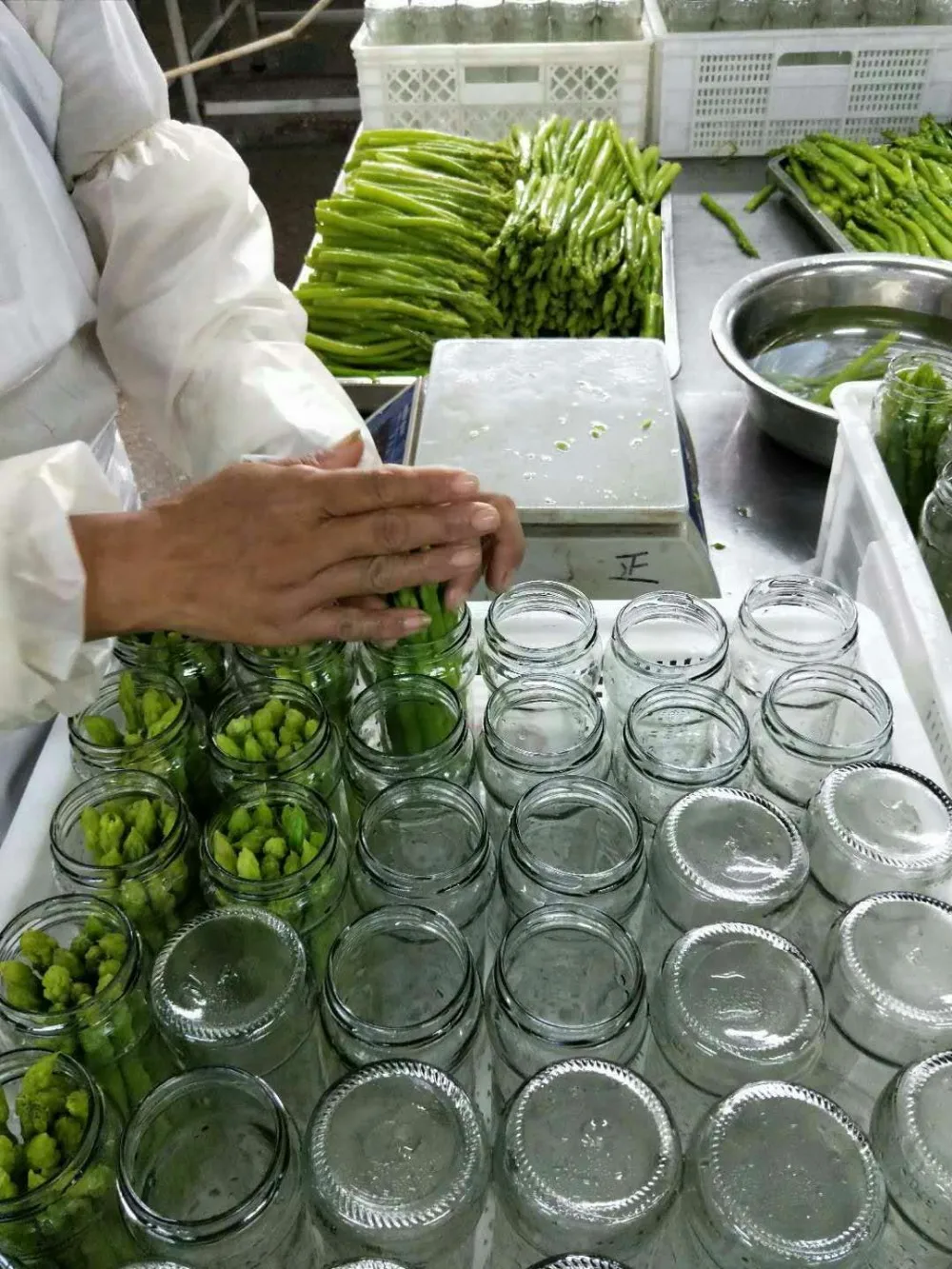 Goog price high quality fresh green asparagus in 370ml