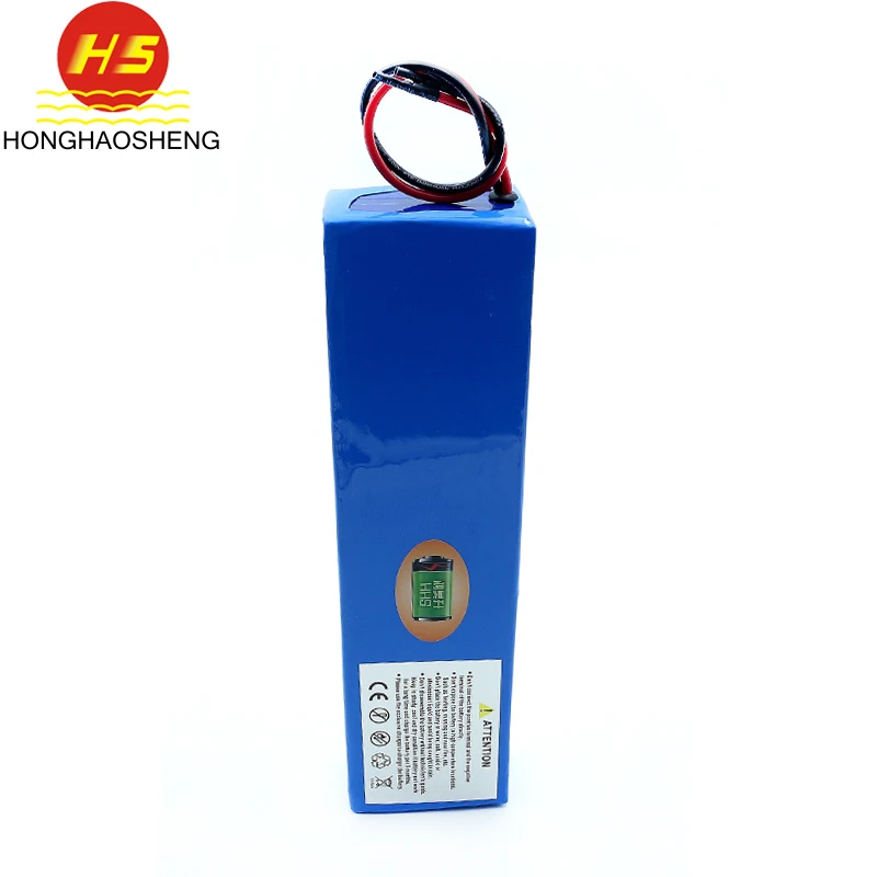 Competitive Price Customized Etwow Scooter Battery With Charger