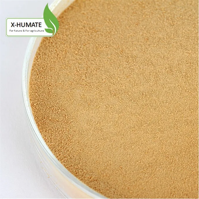 Supply Natural Organic Animal/Plant source 60% Compound Amino Acid