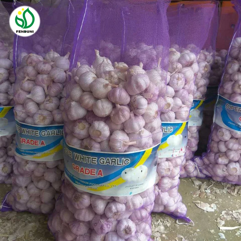 
Supply Fresh Chinese White Garlic New Crop Bawang Putih in Low Price 