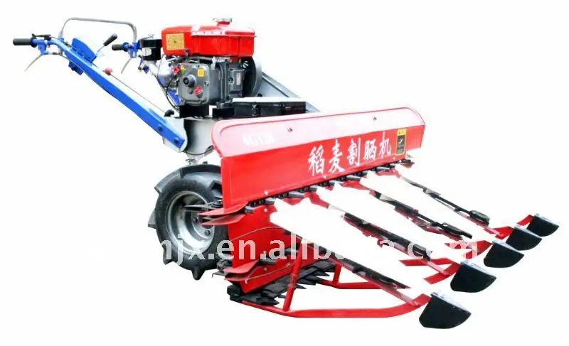 стороны пшеница комбайн