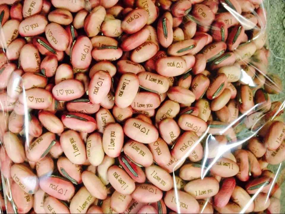 Customized Can Planted Magic Bean