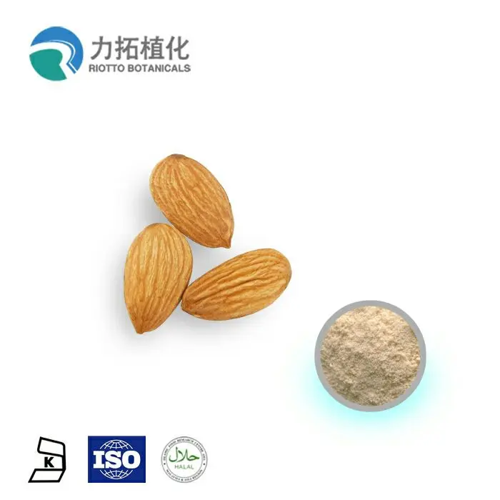 
Organic 100% Natural spray dried Almond powder 
