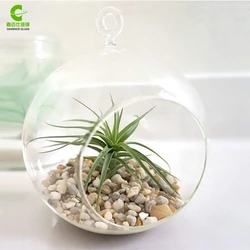 Hanging Glass Globes, Wholesale Terrarium Containers, Glass Vase Cheap