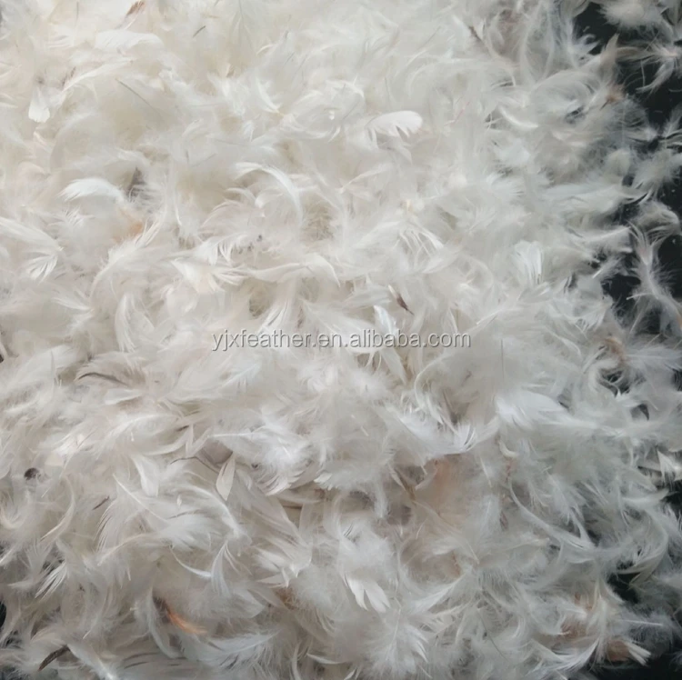 Wholesale white washed White Duck down Feather  Goose feather Duck Feather for Decorations