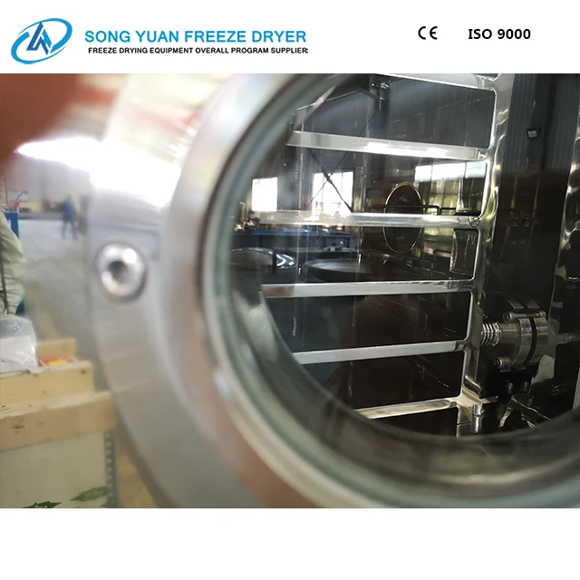 
china Freeze Dryer Machine, Vacuum Lyophilizer for food, medicines, biological, factory price scientific freeze dryer GZL-2 