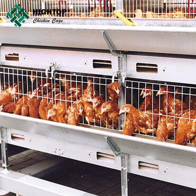 Завод h тип лучшие продажи оцинкованные полный автоматический яйцо коллектор слой курицы клетке курица клетке