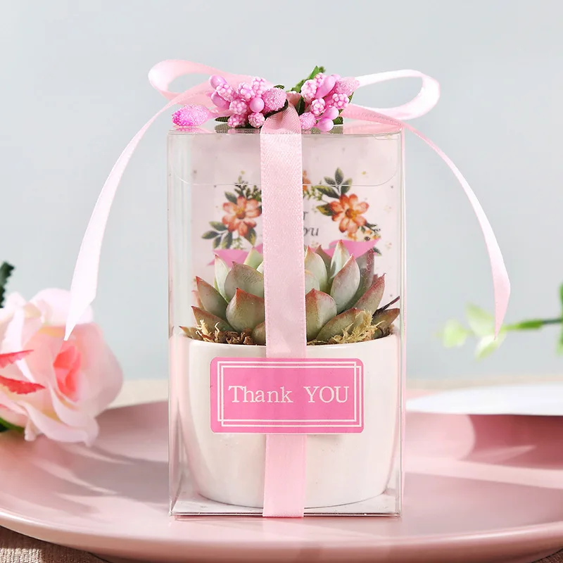 Wedding Favor Clear PVC Packaging Box Transparent PET Plastic Box With Ribbon