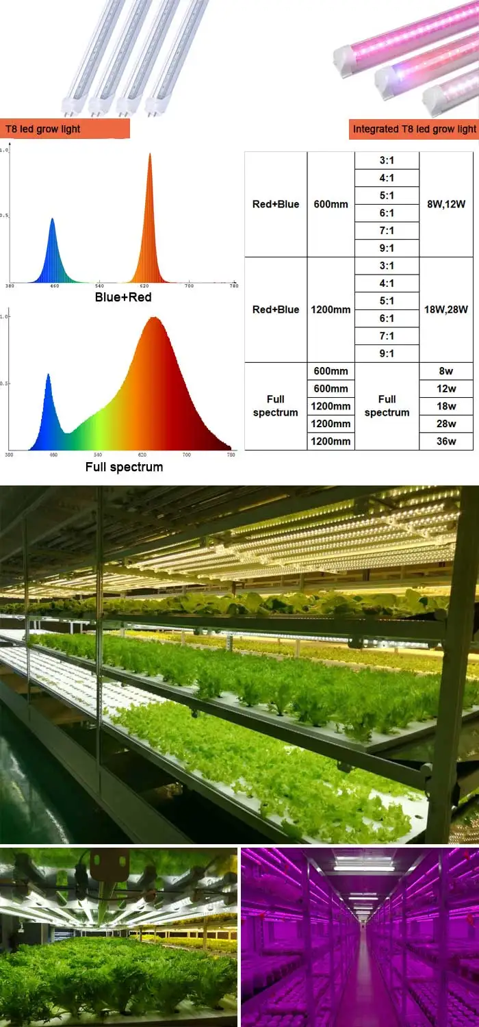 
RGB Full Spectrum T8 T5 Tube Plant Grow Lights hot sales Aluminum tube 20w 18w led grow light greenhouse 