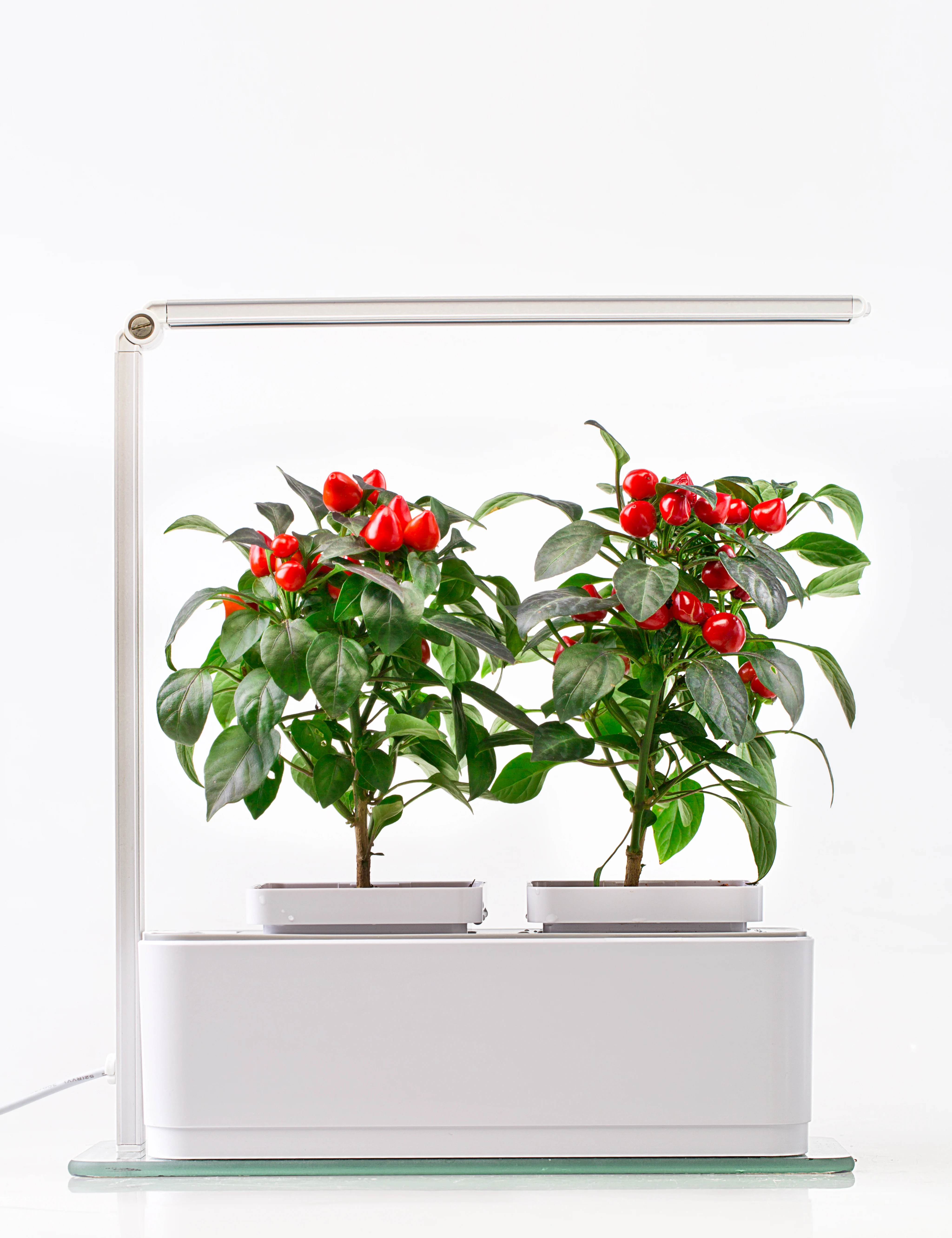 202 органические системы гидропонного выращивания, домашний светодиодный светильник для умного дома и сада, системы гидропонных теплиц для домашнего сада