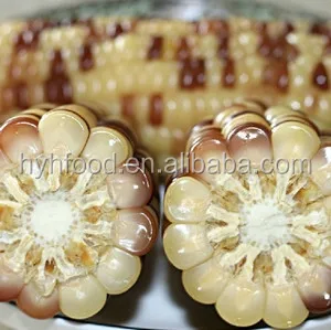 Frozen colorful corn