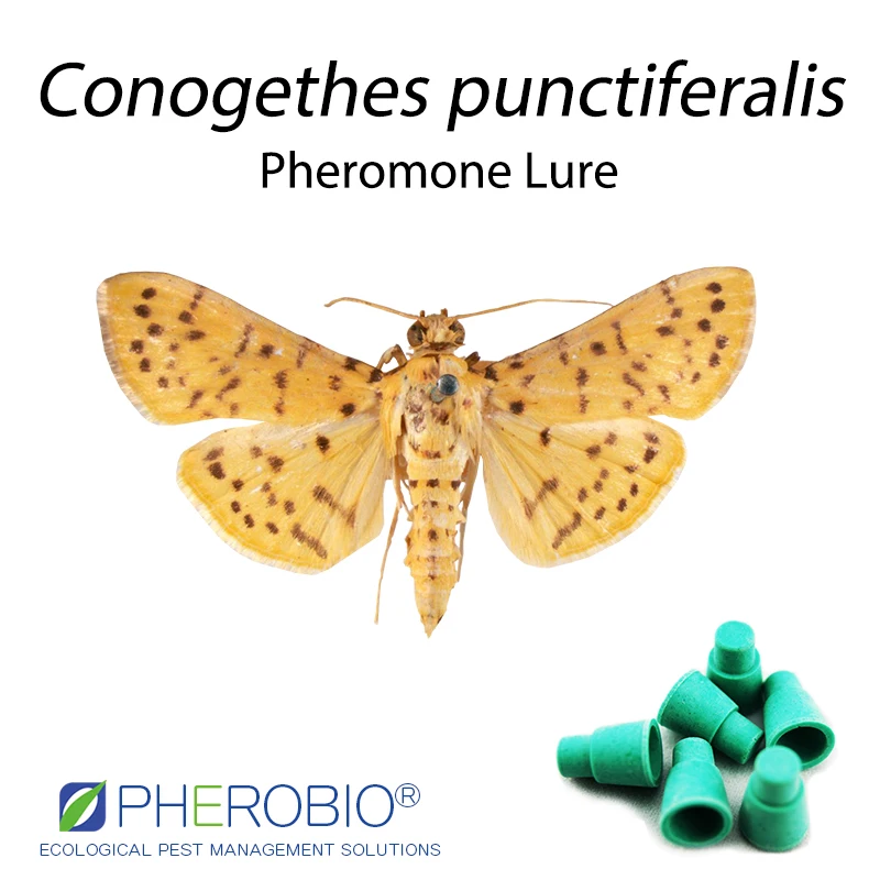 Желтая персиковая приманка-ловушка для феромонов