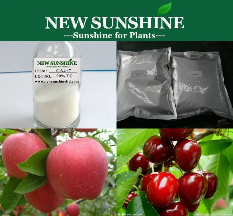 Superior Quality plant growth regulator 90%TC Gibberellic acid GA4 7