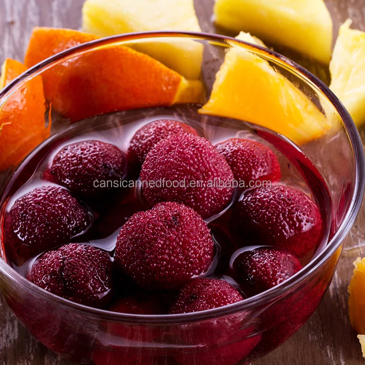 Zhenxin High Quality Canned Fruits Canned Bayberries In Syrup Canned Waxberry