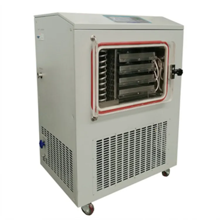 Portable Homemade Liofilizator Mini Lyophilizer Freeze Dryer Lyophilizer For Making Pet Food