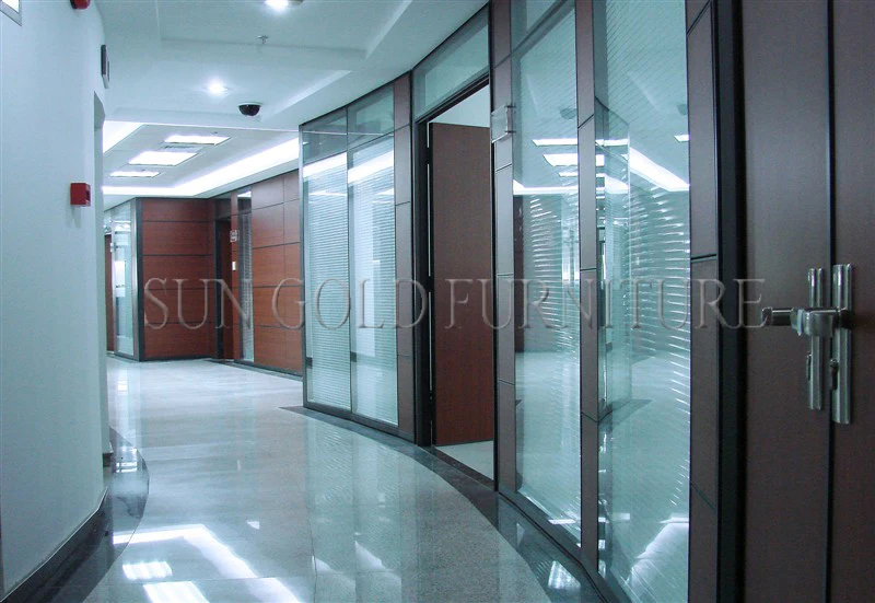 Luxury Black Frame Types of Glass Wall Widely Used Office Room Dividers (SZ-WS572)