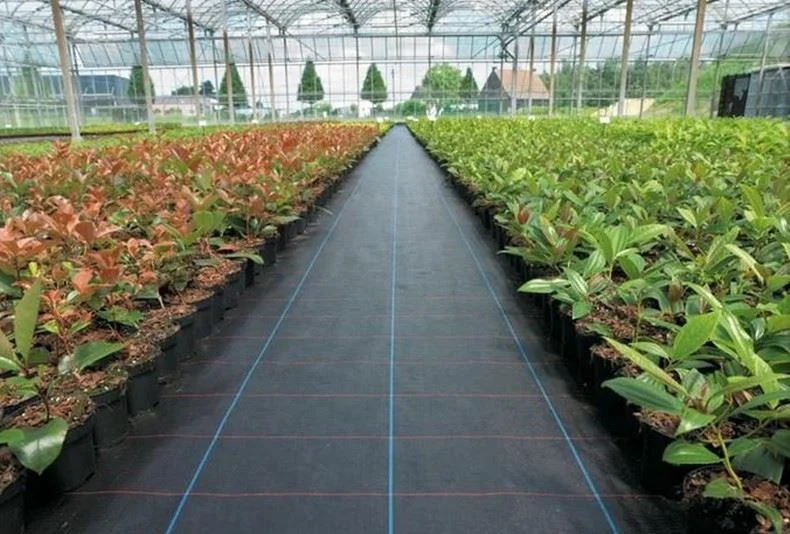  one free sample anti grass cloth black