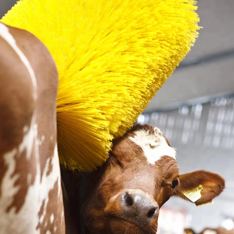Best Supplier Automatic Cow Body Massager Brush for Cow Farm