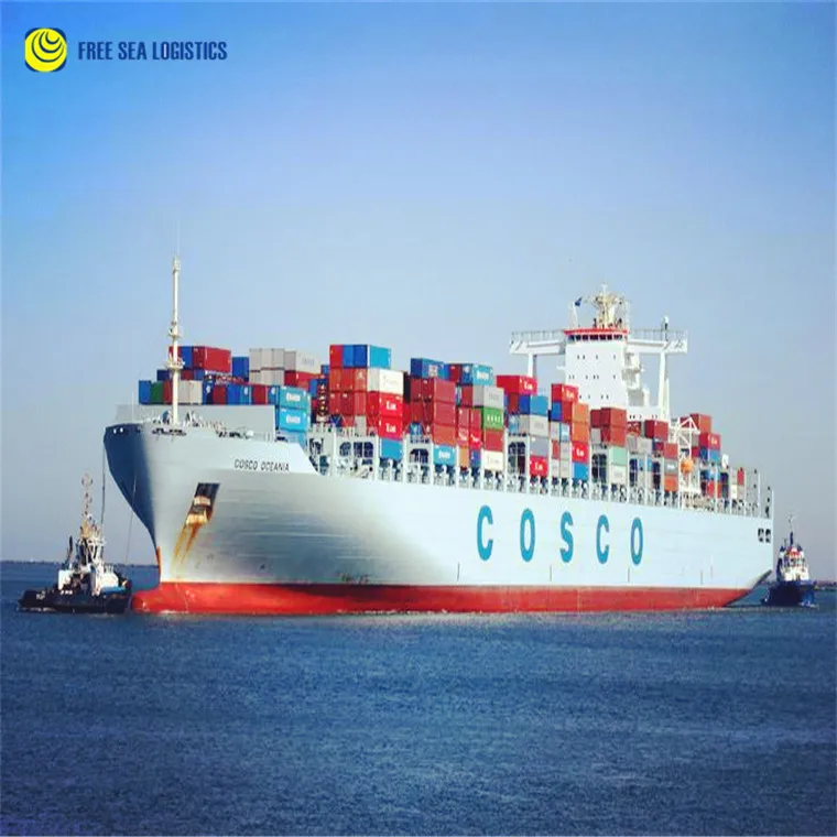 Import and export container sea freight shipping agent from shenzhen guangzhou ningbo to Ashdod  Service