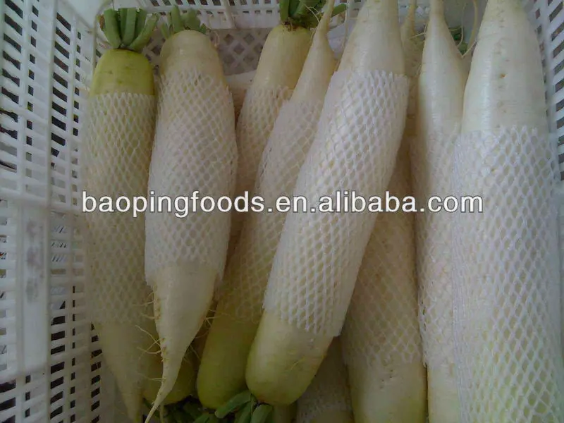
chinese fresh white turnip for sale 