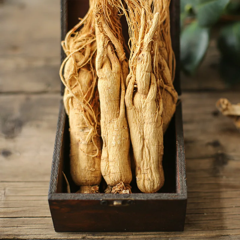 China supplier Hot panax ginseng rootdried ginseng root  korean ginseng