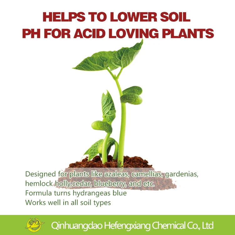 buy best price  Aluminum sulphate soil conditioner