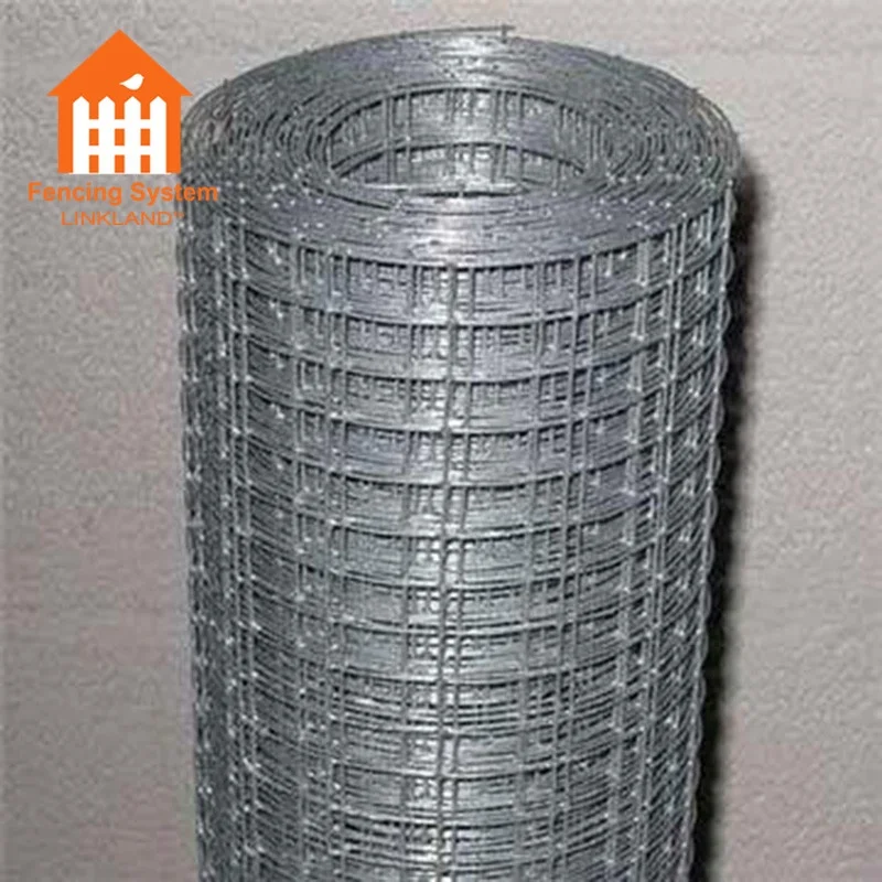 Stainless Steel Bird Cage Welded Wire Mesh Roll