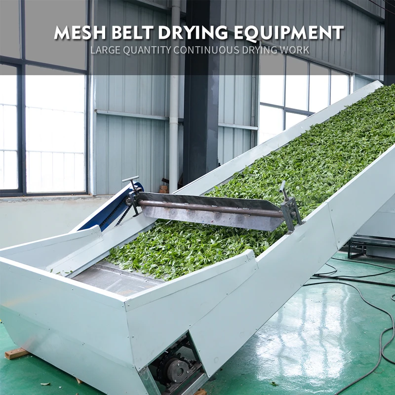 
Hemp hot air drying machine with Industrial stainless steel continuous herbs mesh belt drying machine 