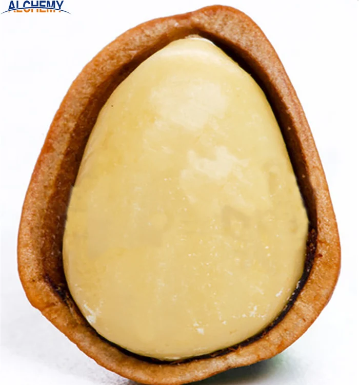 pine nuts in shell  kernels price per kg