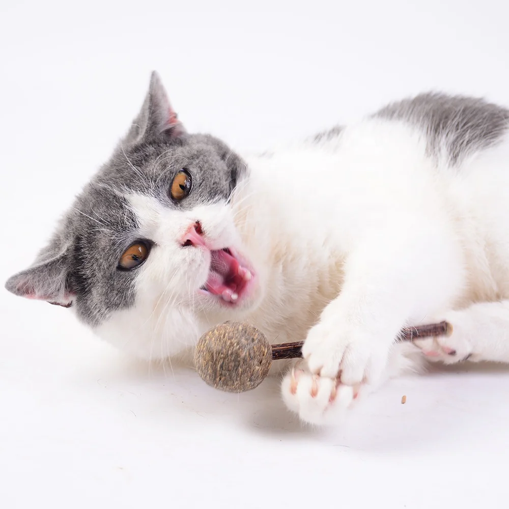 CAT Chew Matatabi Stick Toy silvervine Catnip Cute Lollipop Shape Catnip For Cat Tooth Matatabli Cleaning Molar Toy