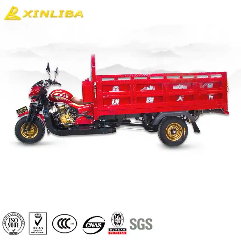 twin cylinder water cooled v200 motorcycle engine adults