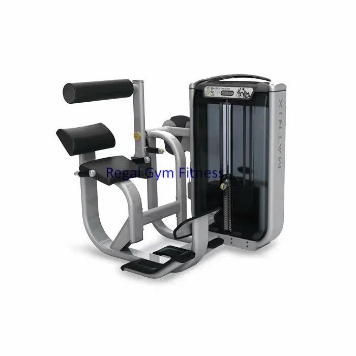 Wholesale Gym Equipment Matrix Strength Biceps trainer Sports Equipment