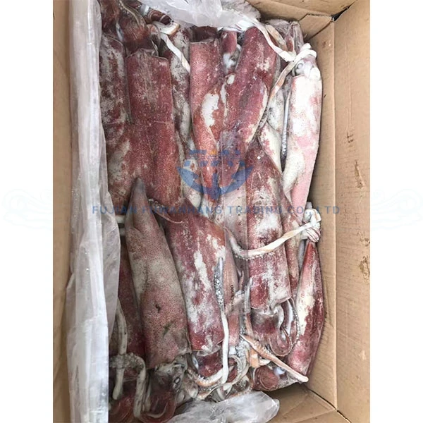 
Frozen squid wild caught loligo squid whole round 