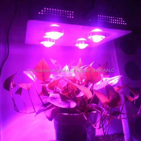 Сельскохозяйственной расти из светодиодов светло-красный 660 м + синий 460nm + ик 730nm для орхидей фаленопсис рассады