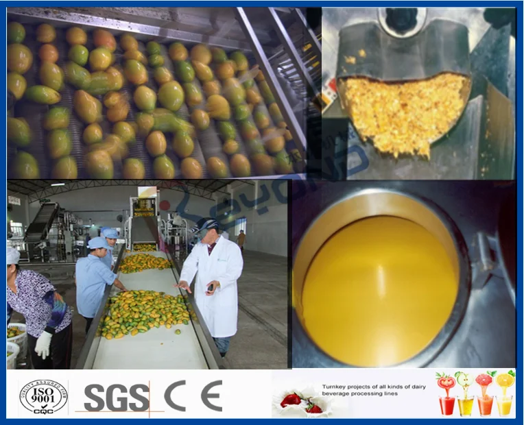 Mango processing plant