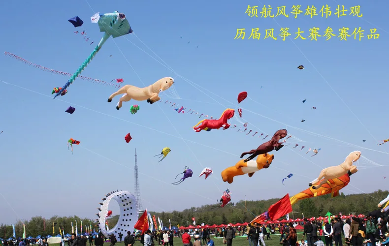 Custom Made High Quality Pilot Large Software Power Kite