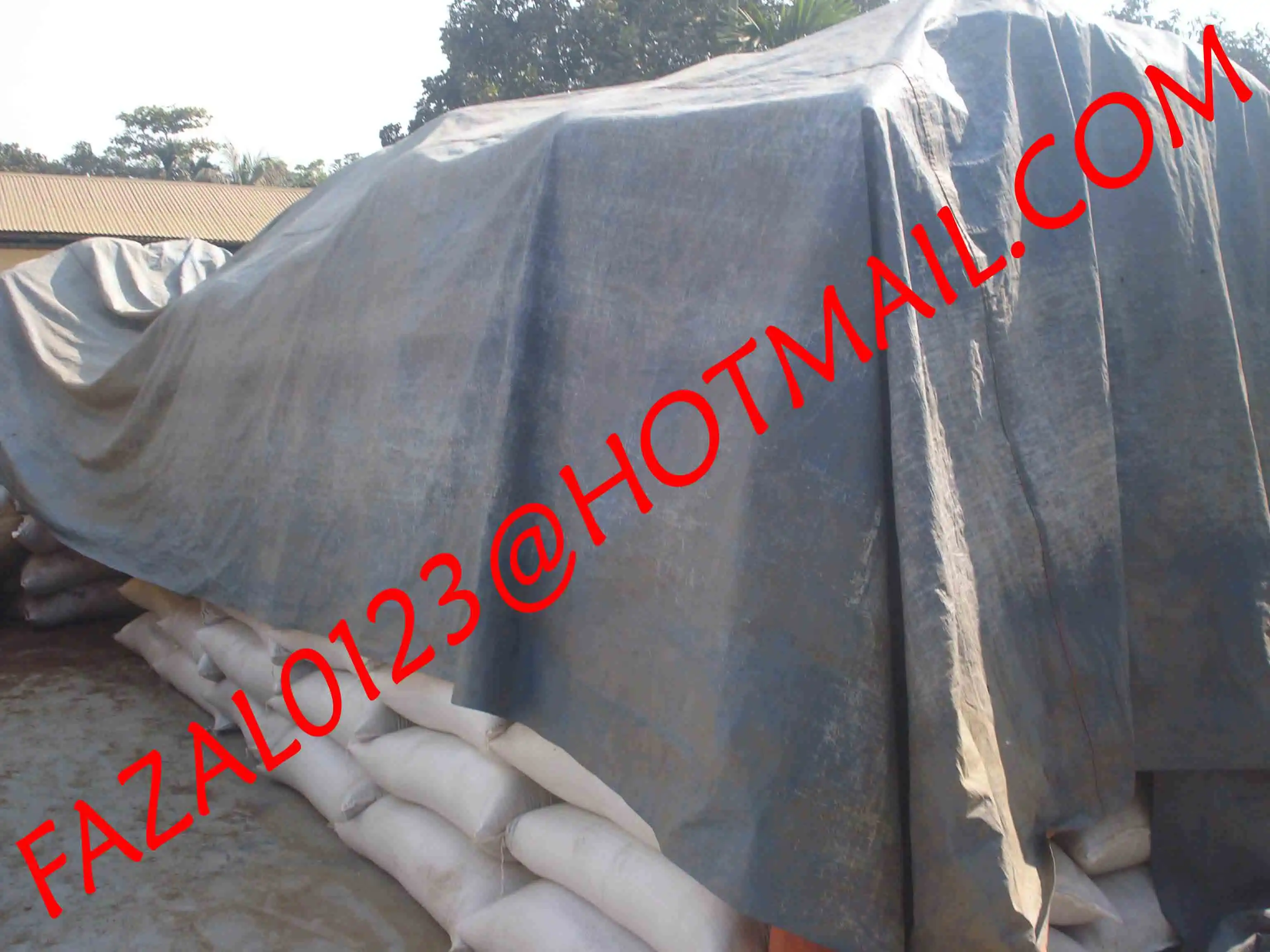 SESAME SEEDS BLACK RED BROWN WHITE FROM EXPORT TRADE ASSOCIATE