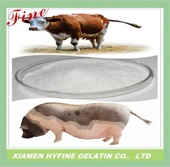 Animal Protein Powder 25kg For Cattle Feed