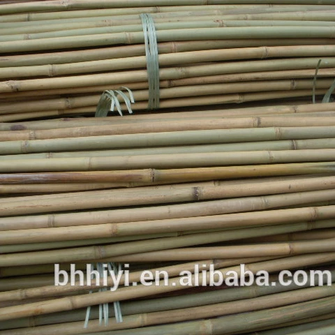 Garden Dried Bamboo Cane Bamboo Stick Bamboo Pole for Planting