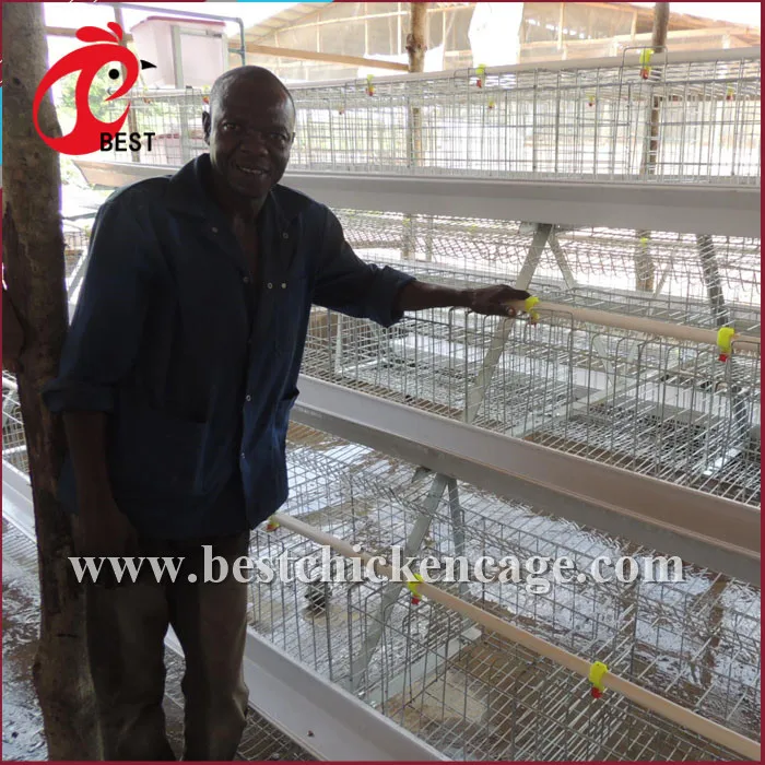 Direct Factory Metal Chicken Cage for Sale for Wholesales
