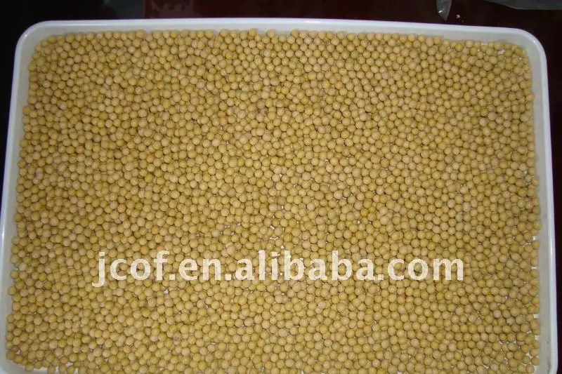 2013 new crop NON-GMO soya beans(712)