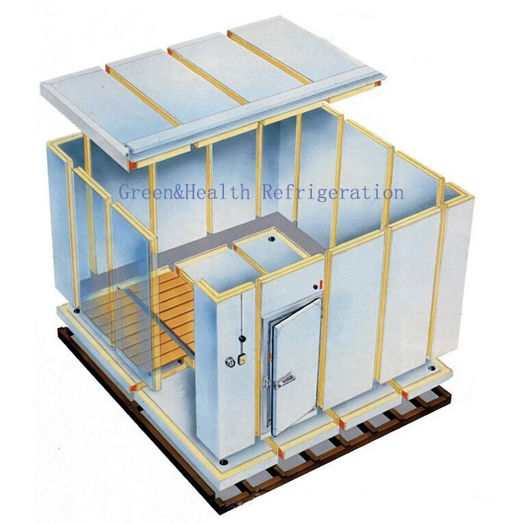 Green&health Cold Storage Room Freezing Room Refrigeration Equipment for Fruit / Vegetable / Fish Refrigerators & Freezers