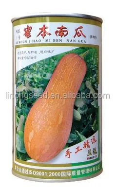 Тыквенные семечки для культивировать