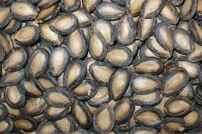 1403856600090_hz-fileserver-upload-02_11209359